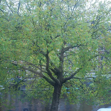 Nl District Leidseplein Hotell 3*