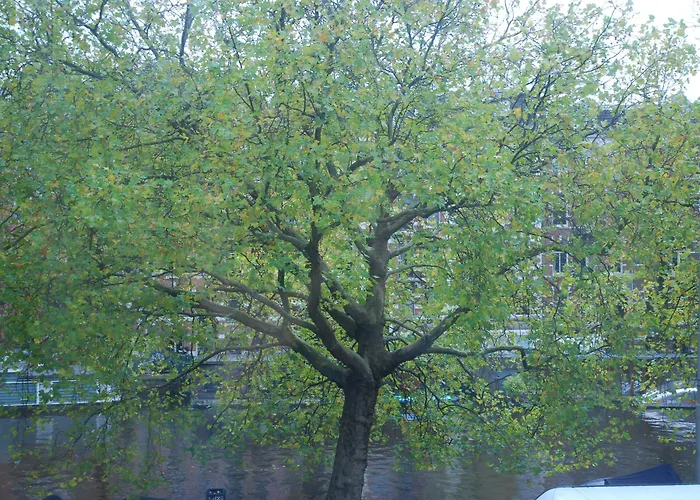 Nl District Leidseplein Szálloda 3*