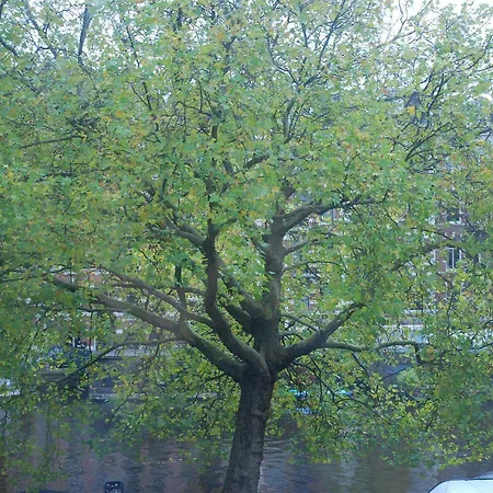 Szálloda Nl District Leidseplein 3*